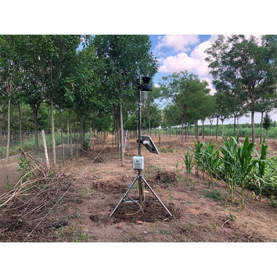 DJ-6393植物霜凍預(yù)警和監(jiān)測(cè)系統(tǒng)